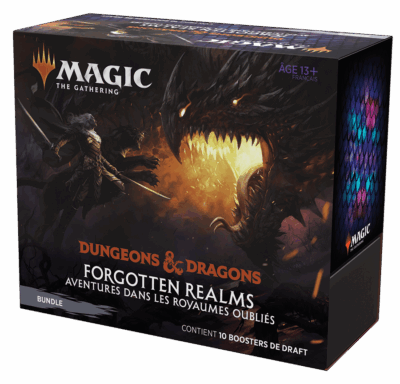 Magic Aventures dans les Royaumes Oubliés Bundle