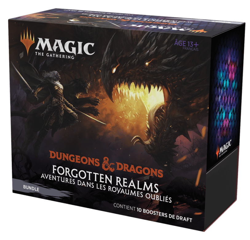 Magic Aventures dans les Royaumes Oubliés Bundle