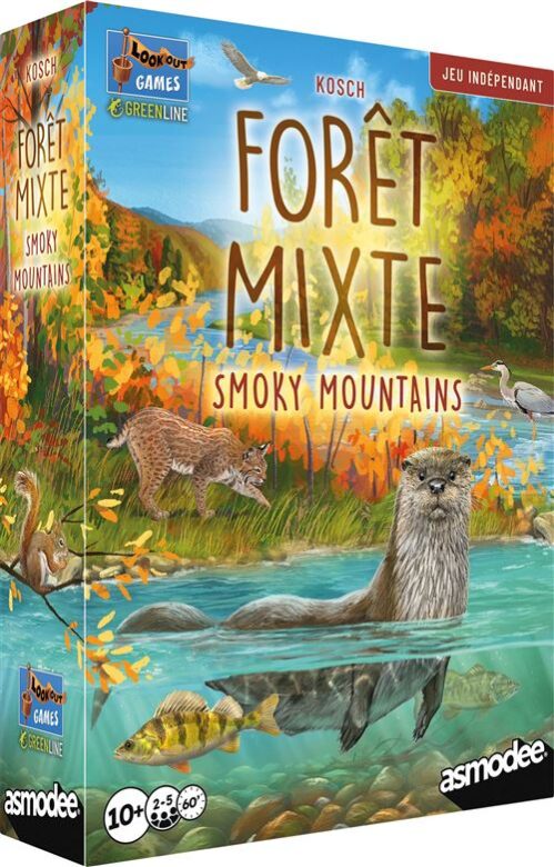 Forêt Mixte Smoky Mountains